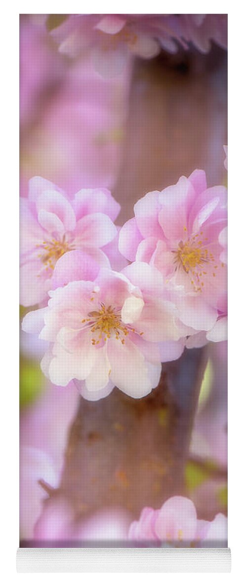 Flowers Yoga Mat featuring the photograph Pink Serenade by Philippe Sainte-Laudy