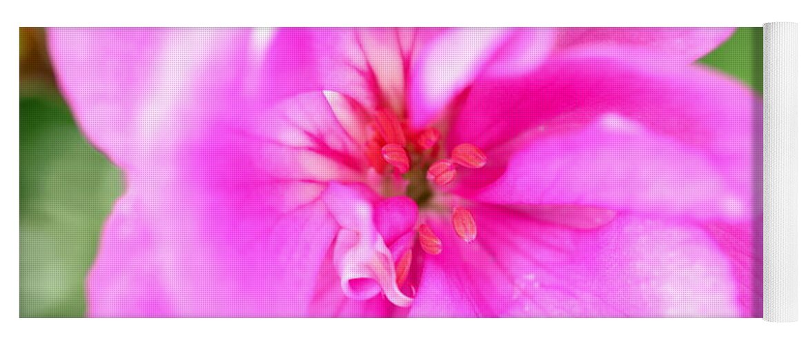 Flowers Yoga Mat featuring the photograph Pink Teardrops by Tony Lee
