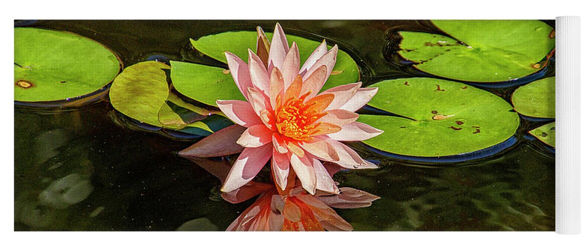 Lily Yoga Mat featuring the photograph Pink Water Lily by Bill Barber