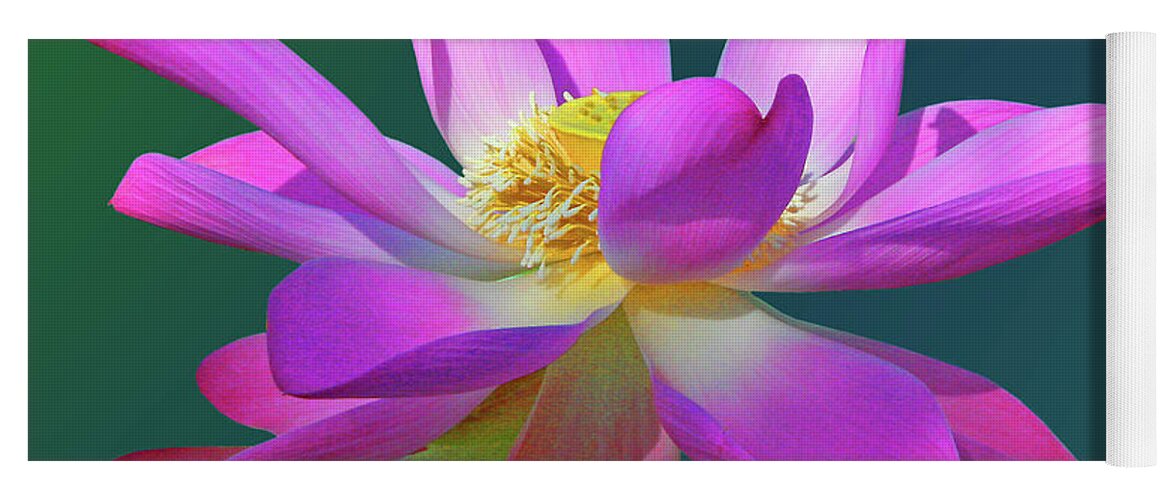 Nature Yoga Mat featuring the photograph Pink Waterlily by Mariarosa Rockefeller
