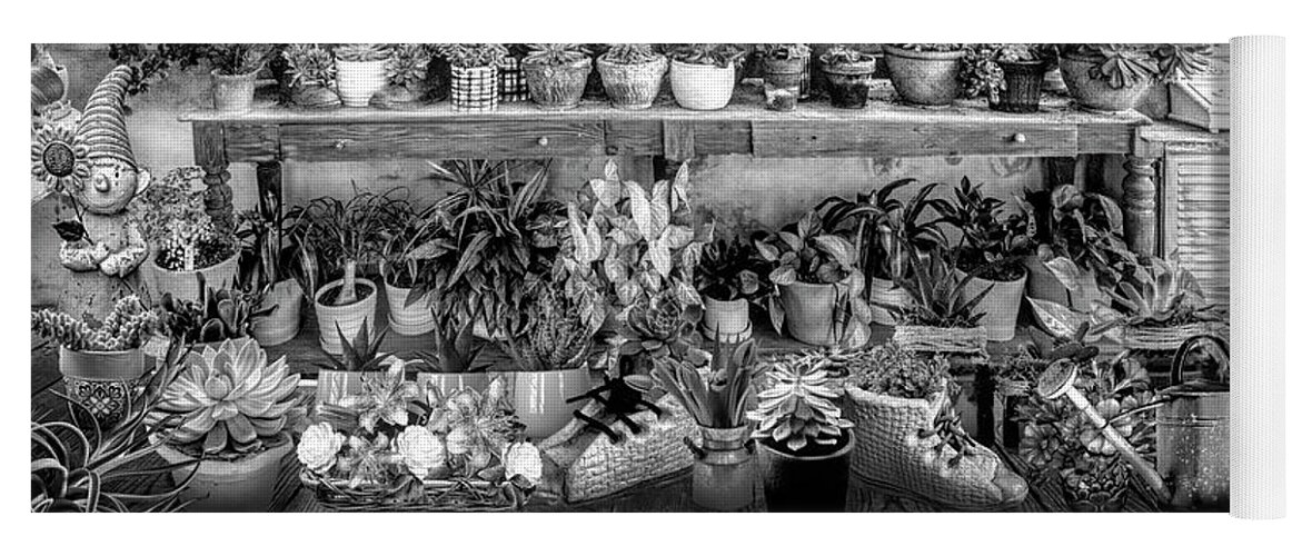 Barns Yoga Mat featuring the photograph Plants in the Vineyard Greenhouse Window Black and White by Debra and Dave Vanderlaan