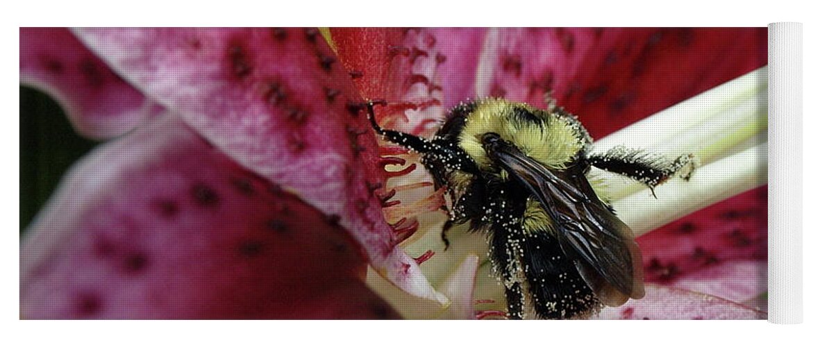 Bumblebee Yoga Mat featuring the photograph Pollenated Bumble by Jeffrey Peterson