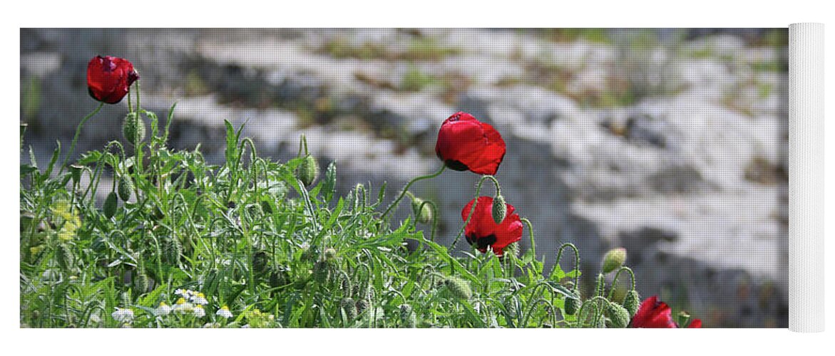 Poppies Yoga Mat featuring the photograph Poppies and Ruins by M Kathleen Warren