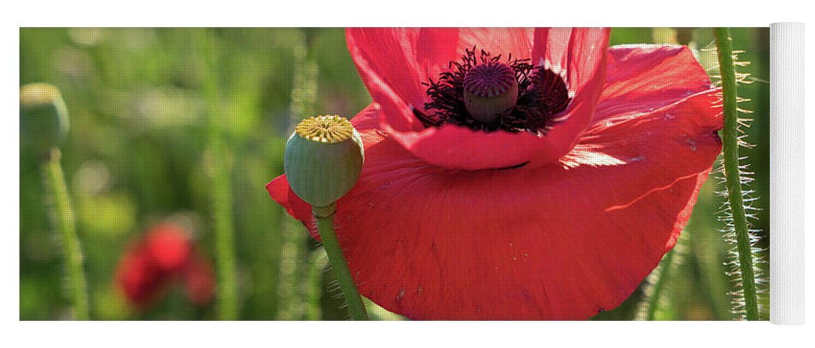 Poppy Yoga Mat featuring the photograph Poppy blossom with beauty spot by Adriana Mueller