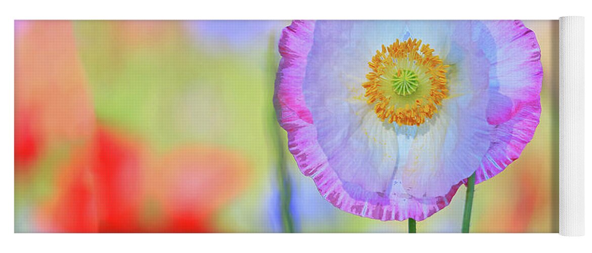 Poppy Flowers Yoga Mat featuring the photograph Poppy Flowers by Shixing Wen