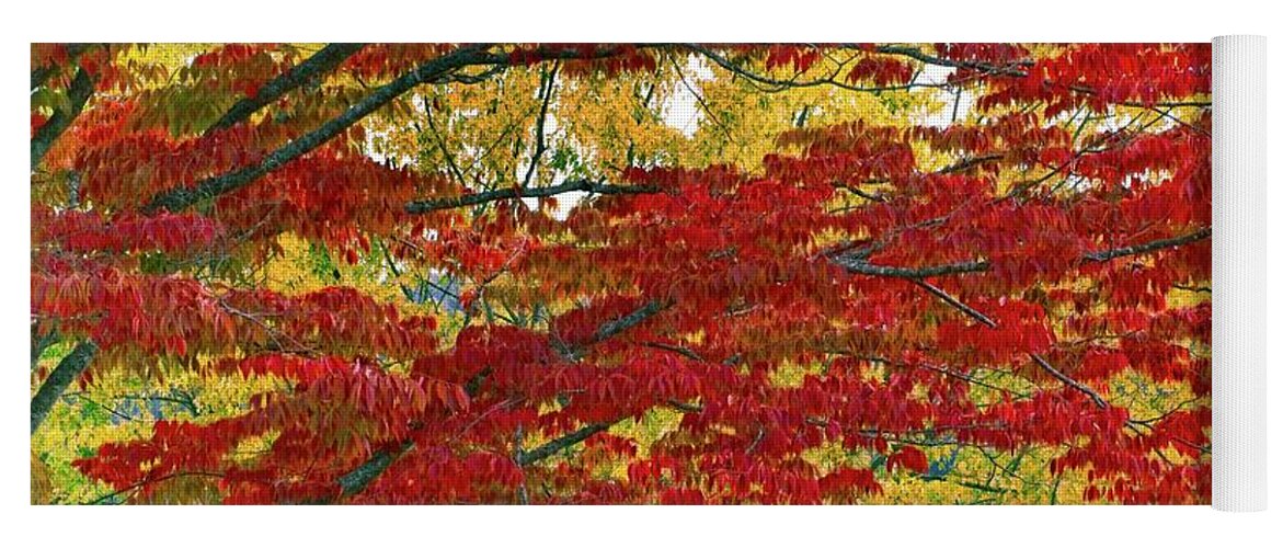Abstract Yoga Mat featuring the photograph Port Gamble Fall Colors by David Desautel