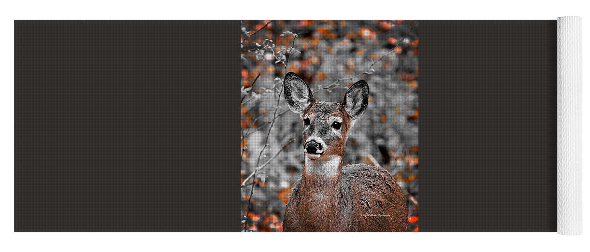 Wildlife Yoga Mat featuring the photograph Portrait in Orange by Mary Walchuck