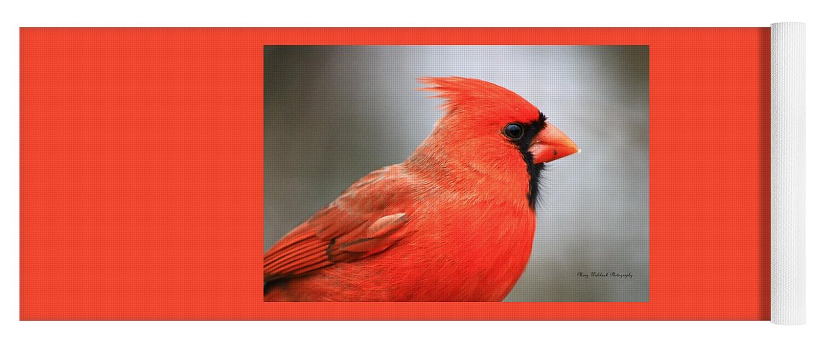 Birds Wildlife Nature Yoga Mat featuring the photograph Portrait of a Cardinal by Mary Walchuck