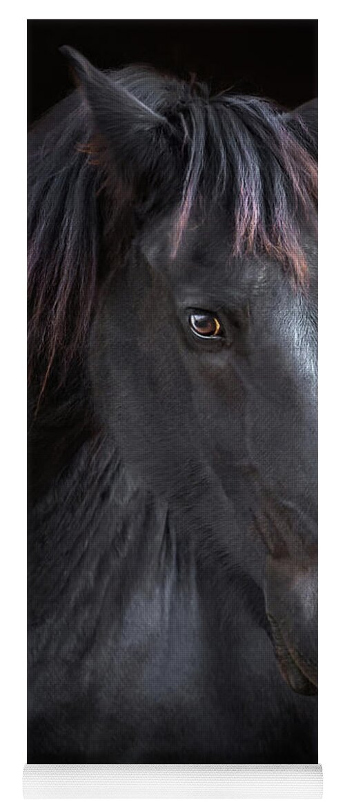 Horse Yoga Mat featuring the photograph Portrait of a Dark Horse by Debra Boucher