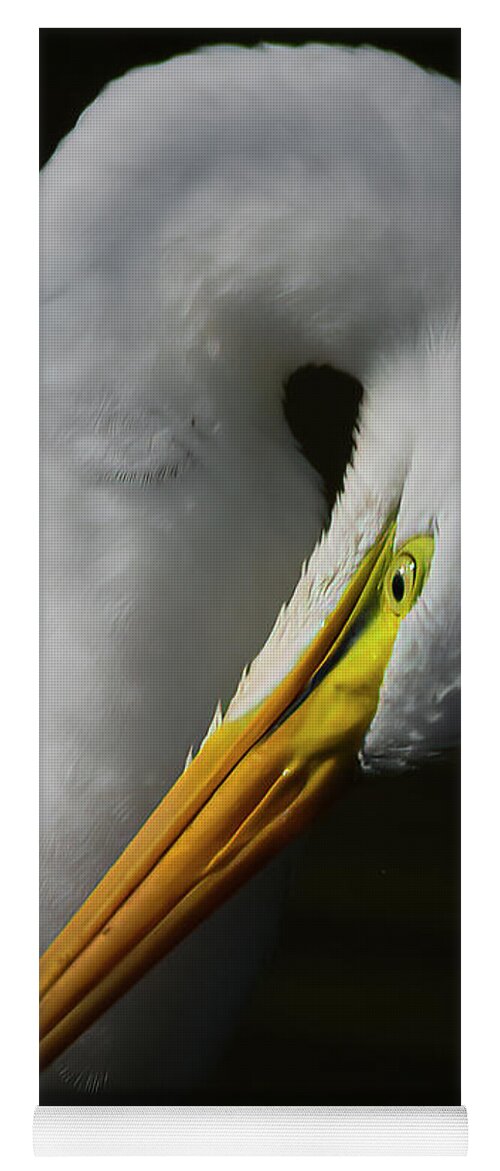 Evergreen Lake Yoga Mat featuring the photograph Portrait of a Great Egret by Ray Silva