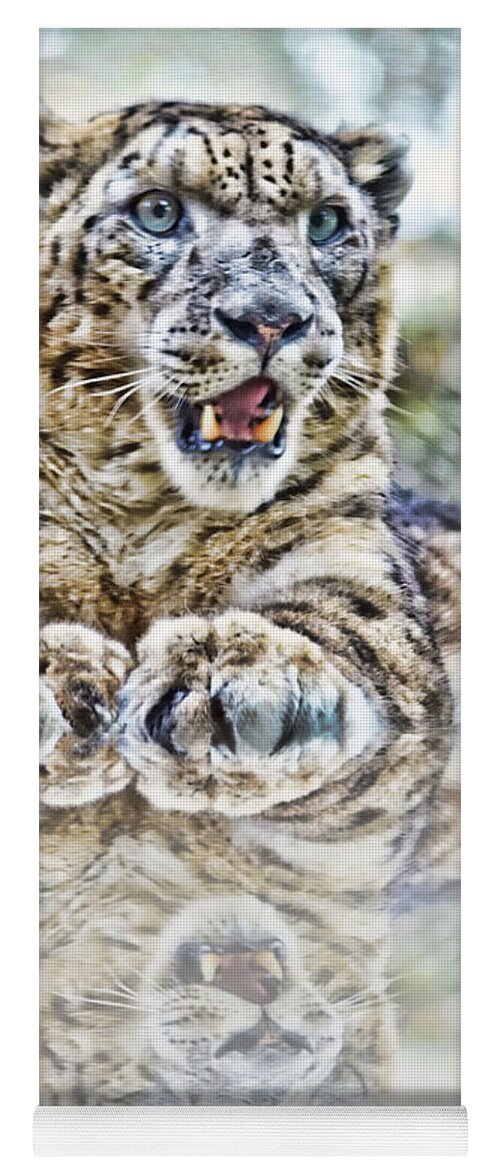 Snow Leopard Yoga Mat featuring the photograph Portrait of a Snow Leopard with a Reflection by Jim Fitzpatrick