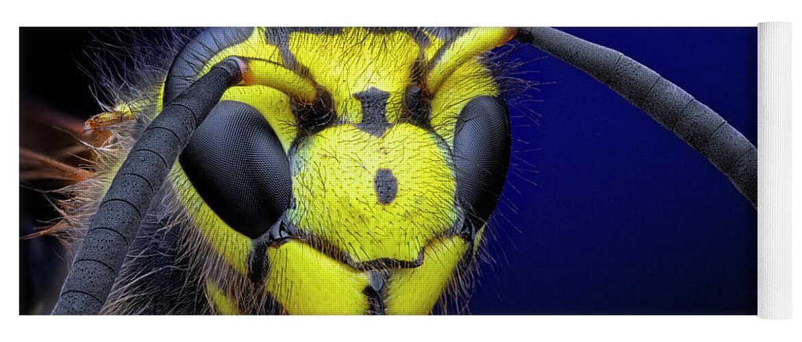 Portrait Of A Yellow-jacket Wasp Yoga Mat featuring the photograph Portrait of a Yellow-jacket Wasp by Endre Balogh