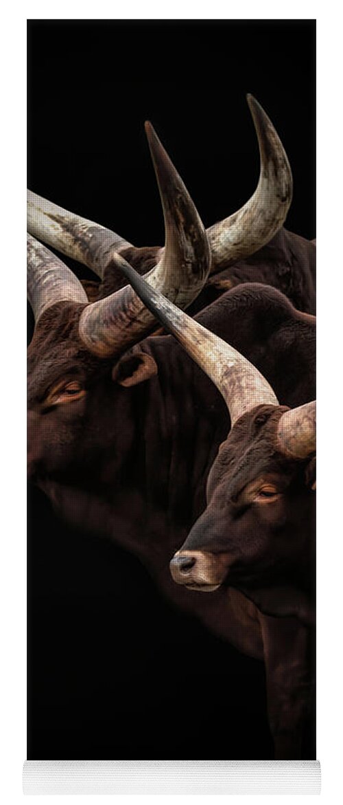 Portrait Yoga Mat featuring the photograph Portrait of Watus cattle with big horns by Marjolein Van Middelkoop