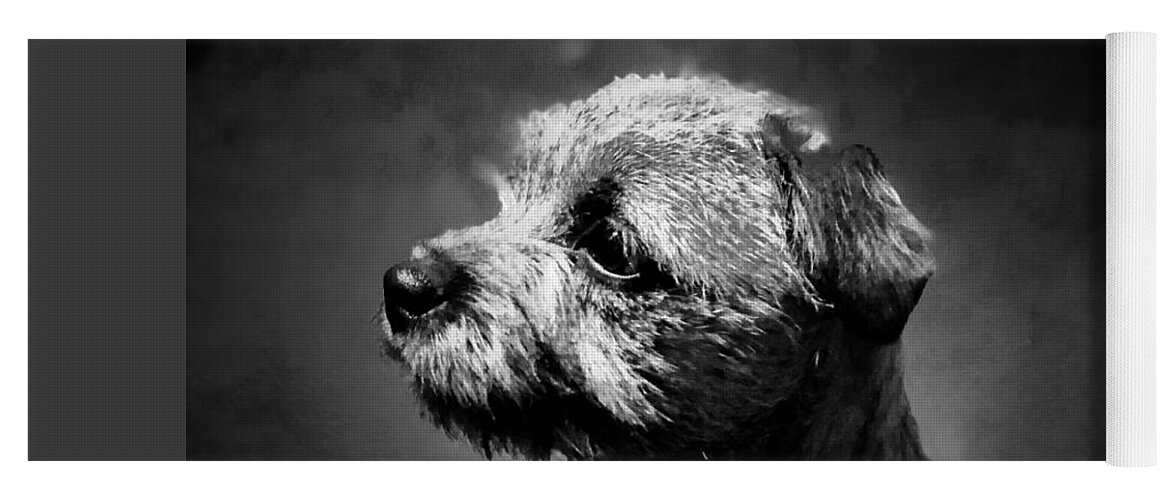 Border Terrier Yoga Mat featuring the photograph Posing by Mark Egerton