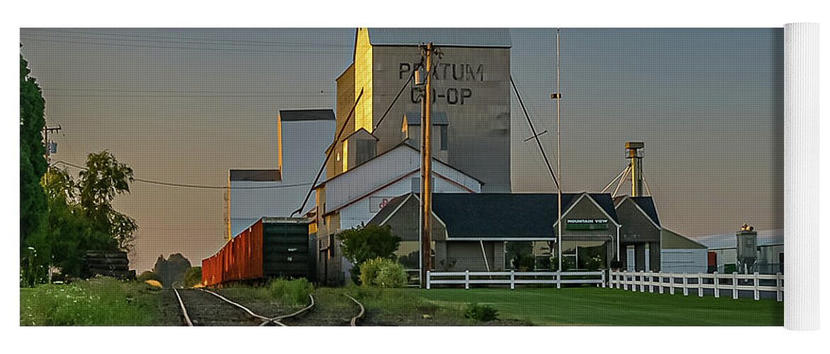 Pratum Or Yoga Mat featuring the photograph Pratum, OR old pix 3 by Ulrich Burkhalter