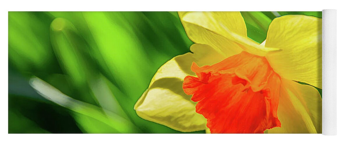 Daffodils Yoga Mat featuring the photograph Precocious Daffodil by Marcy Wielfaert