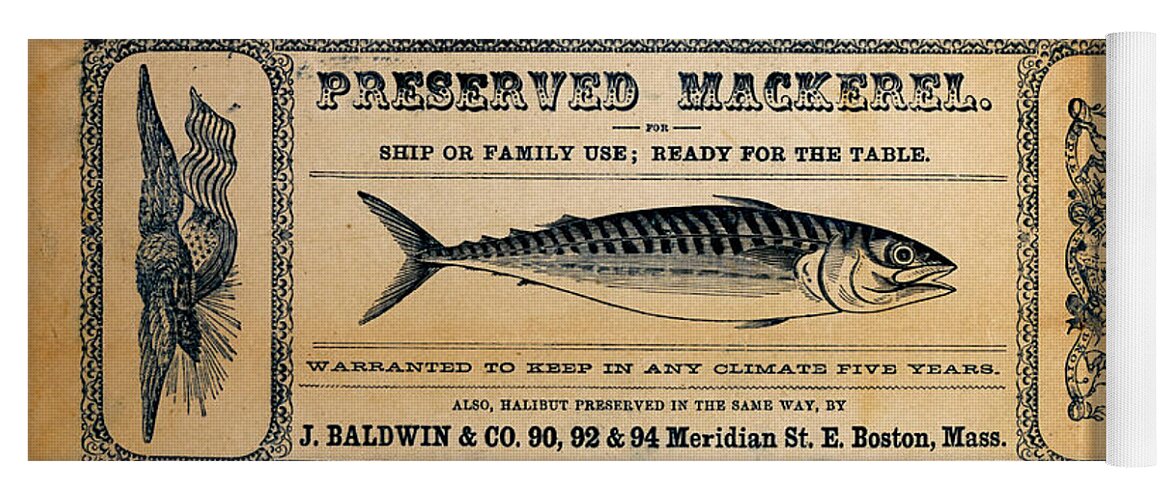 Preserved Mackeral Yoga Mat featuring the mixed media Preserved Mackerel by Richard Reeve