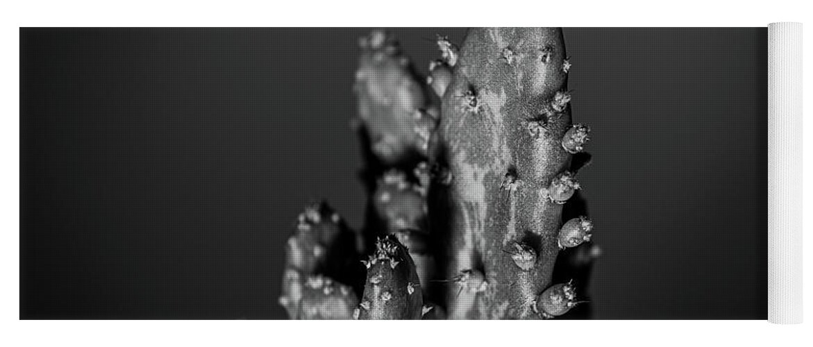 Black Yoga Mat featuring the photograph Prickly pear cactus in monochrome by Scott Lyons