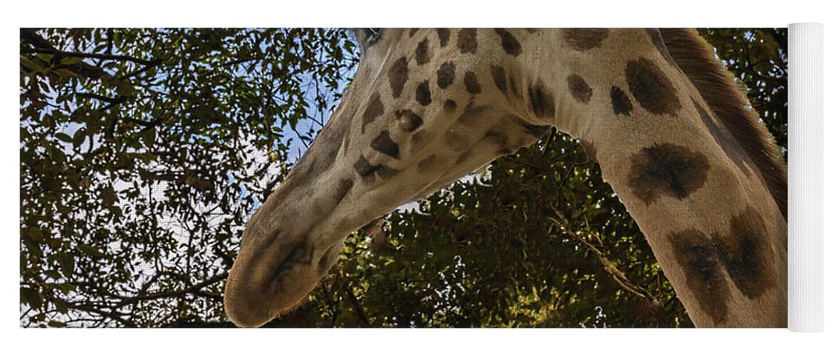 Africa Yoga Mat featuring the photograph Profile of a Giraffe by Laura Hedien