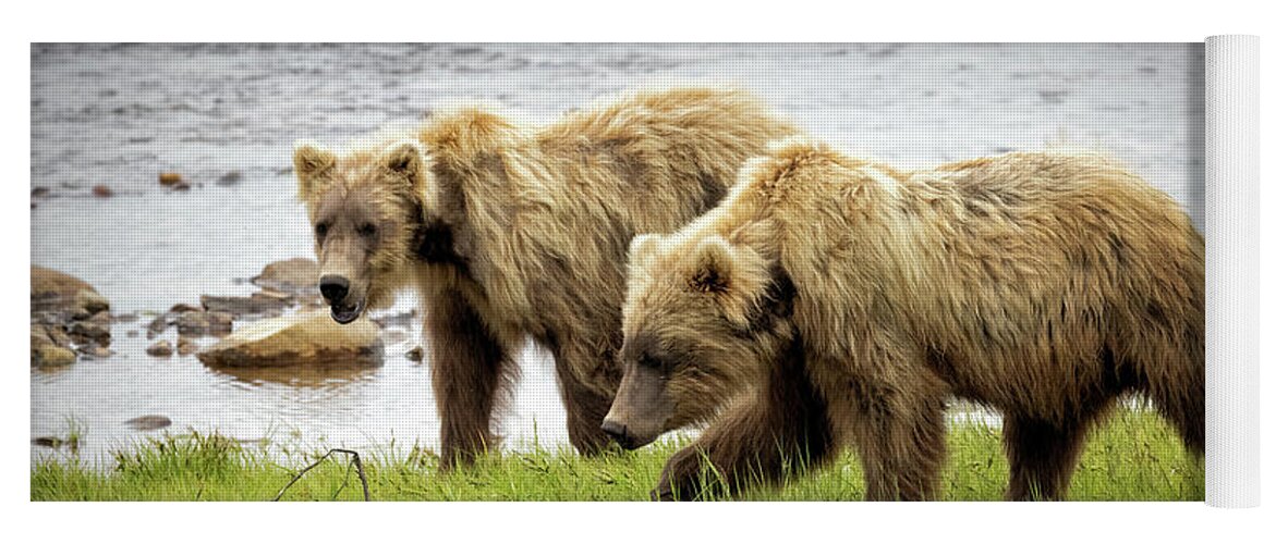 Alaska Yoga Mat featuring the photograph Prowling Along the Creek by Cheryl Strahl