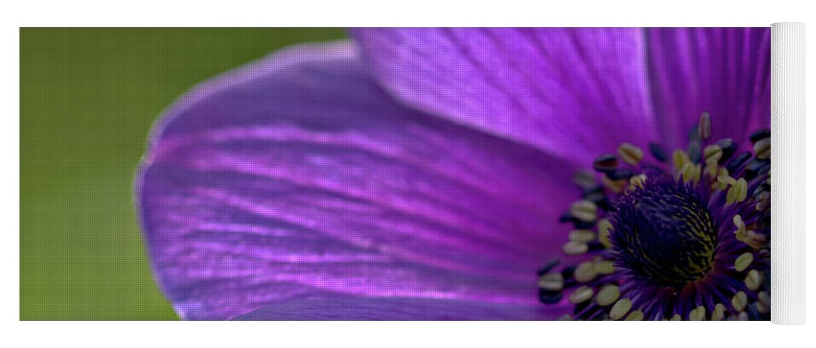 Nature Yoga Mat featuring the photograph Purple Anemone by Stephen Melia