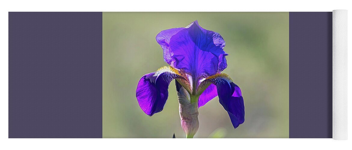 Purple Bearded Wild Iris Yoga Mat featuring the photograph Purple Bearded Wild Iris by Debra Martz