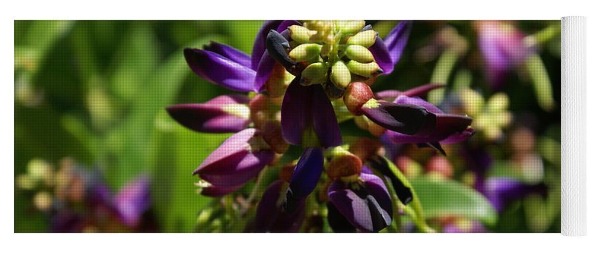 Flower Yoga Mat featuring the photograph Purple Buds by Heather E Harman