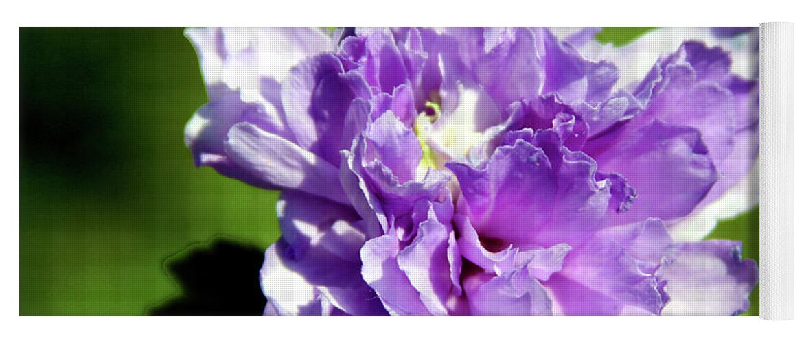 Flower Yoga Mat featuring the photograph Purple on Green by John Lautermilch