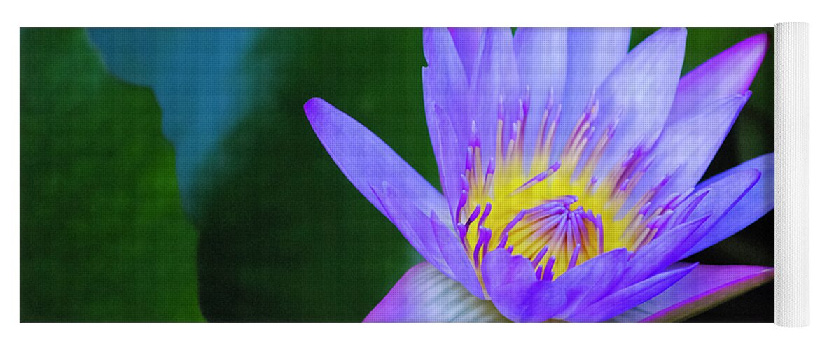 Exotic Flower Yoga Mat featuring the photograph Purple Water Lily by Christi Kraft