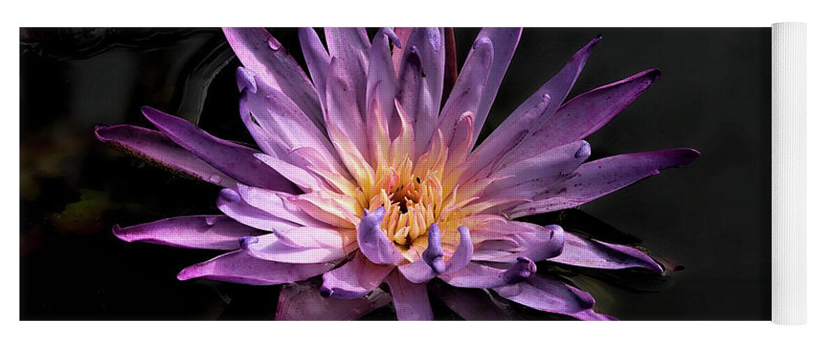Flowers Yoga Mat featuring the photograph Purple Waterlily by Minnie Gallman