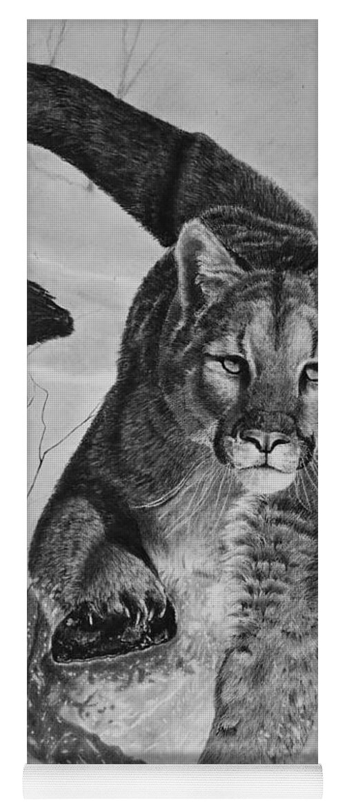 Mountain Lion Yoga Mat featuring the drawing Pursuit by Greg Fox
