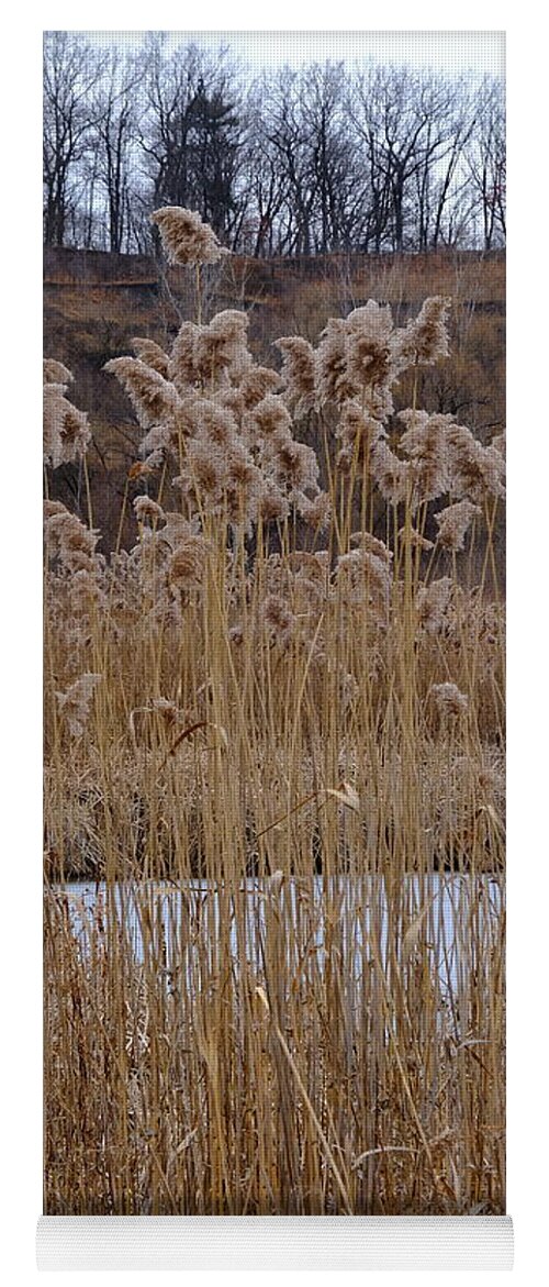 Nature Yoga Mat featuring the photograph Quarry Whisps And Pond by Kreddible Trout