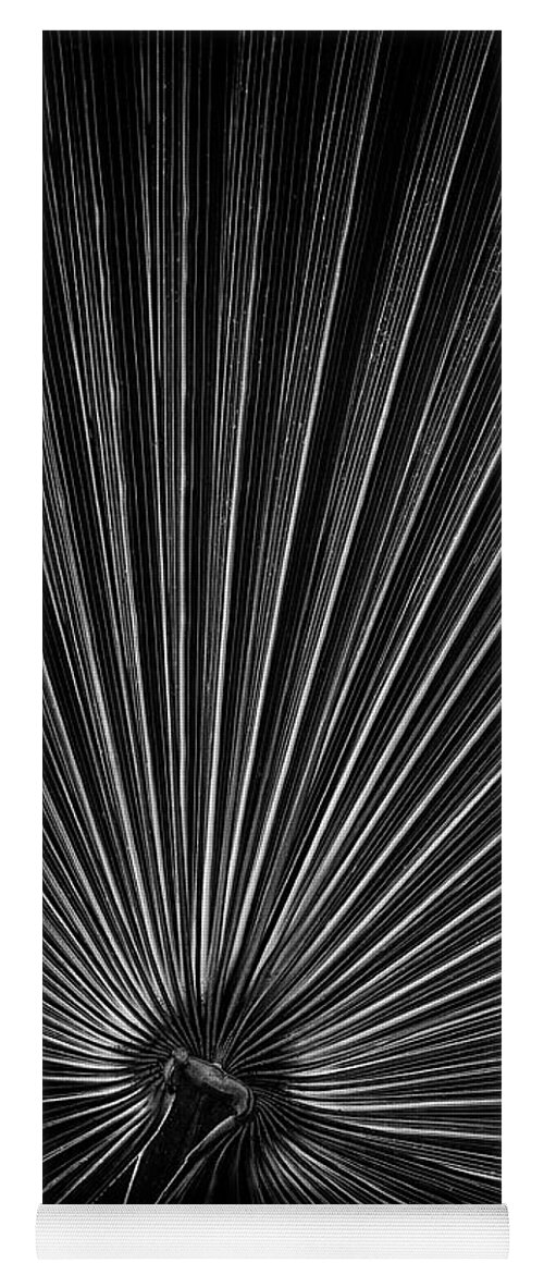 Palm Yoga Mat featuring the photograph Radiating Lines - Vertical by Elvira Peretsman