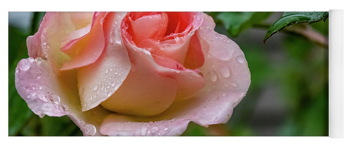 Rose Yoga Mat featuring the photograph Rainy Rose by Cathy Kovarik