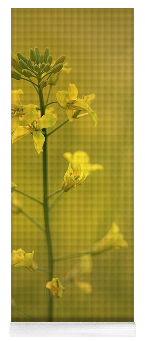 Rapeseed Yoga Mat featuring the photograph Rapeseed flowers by Karen Rispin