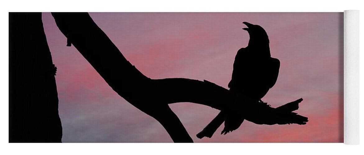 Adult Yoga Mat featuring the photograph Raven Silhouette by Jeff Goulden