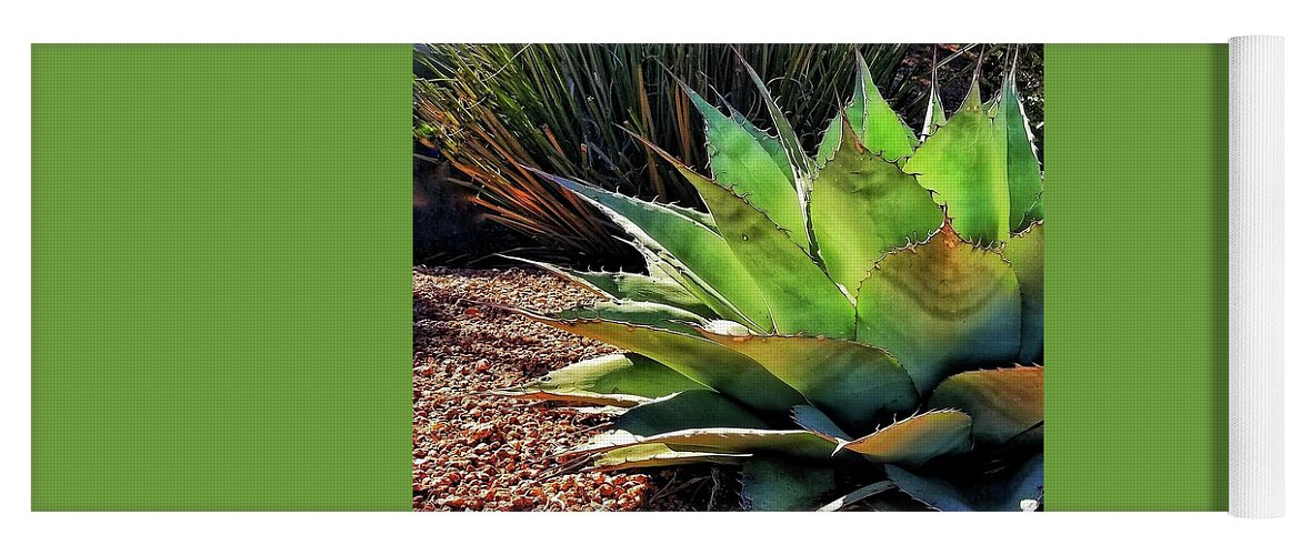 Agave Yoga Mat featuring the photograph Reaching by Terry Ann Morris