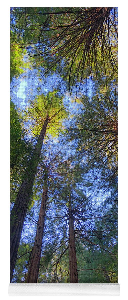 Trees Yoga Mat featuring the photograph Reaching to Infinity by Bonnie Follett