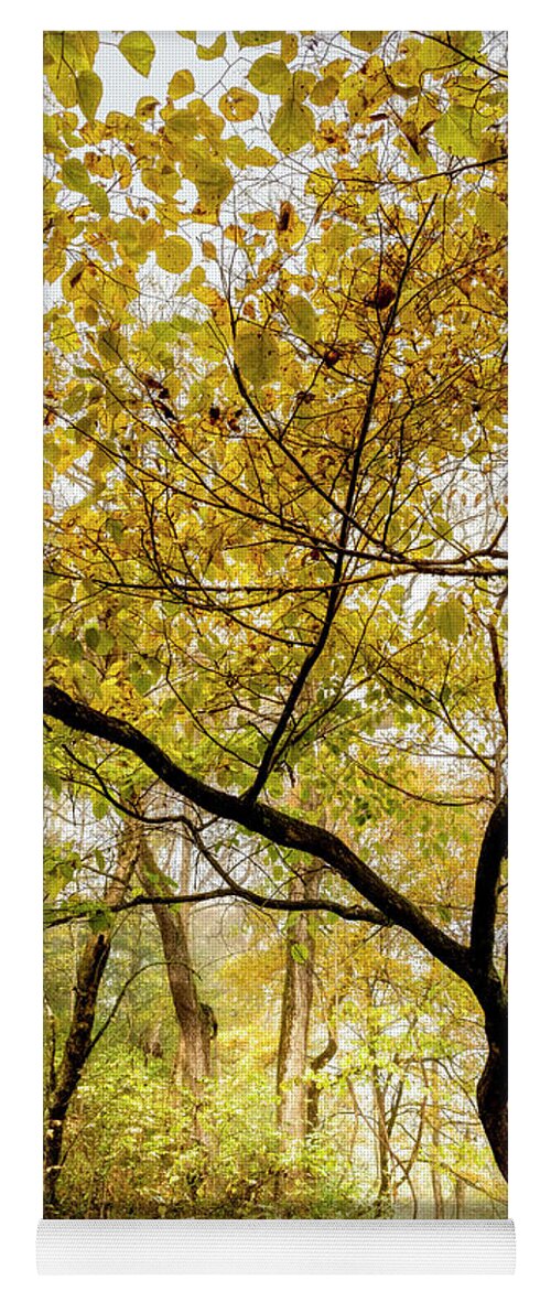 Tree Yoga Mat featuring the photograph Reaching Upwards into Autumn by Debra and Dave Vanderlaan