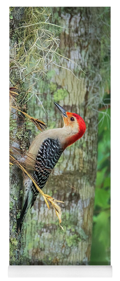 Red-bellied Woodpecker Yoga Mat featuring the photograph Red-bellied Woodpecker by Steven Sparks