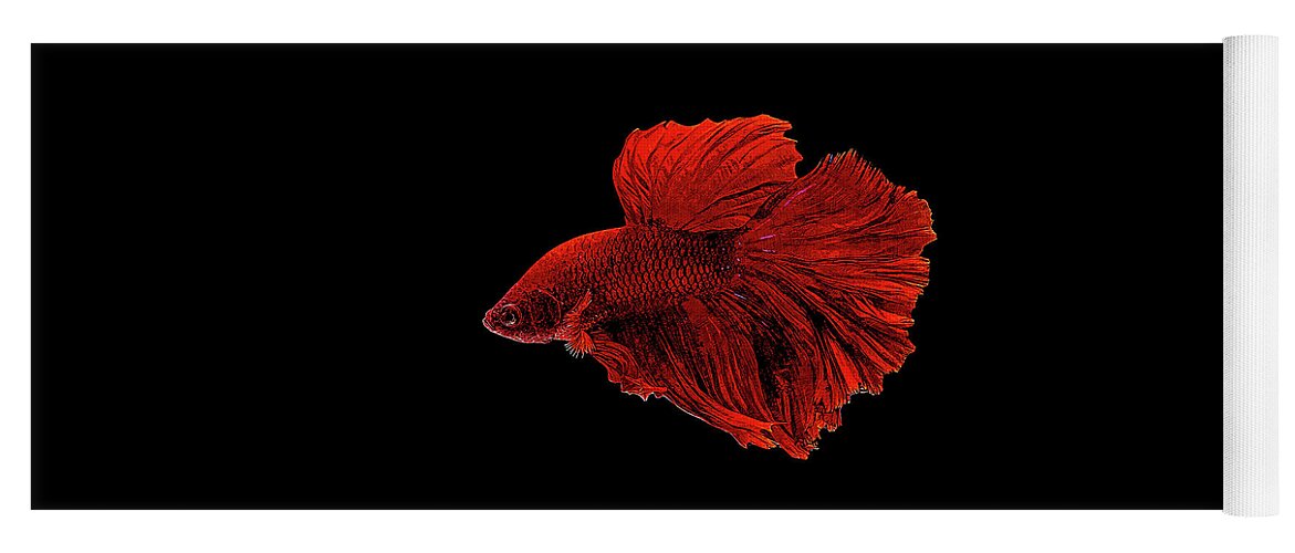Red Yoga Mat featuring the painting Red Betta Splendens - Siamese Fighting Fish by Custom Pet Portrait Art Studio