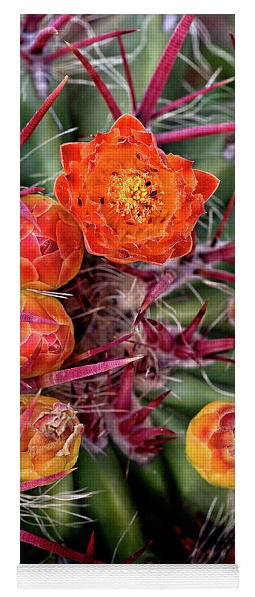 Cactus Yoga Mat featuring the photograph Red Cactus Blossoms by Bob Falcone