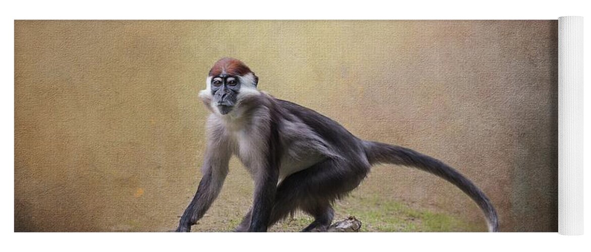 Collared Mangabey Yoga Mat featuring the photograph Red-Capped Mangabey by Eva Lechner