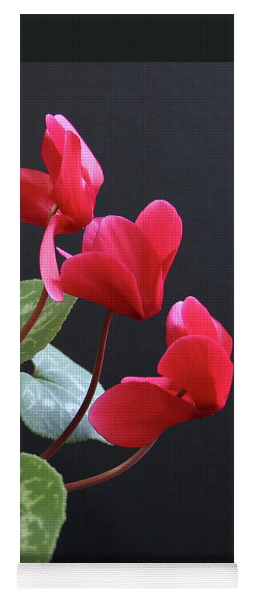 Primulaceae Yoga Mat featuring the photograph Red Cyclamen by Patricia Overmoyer
