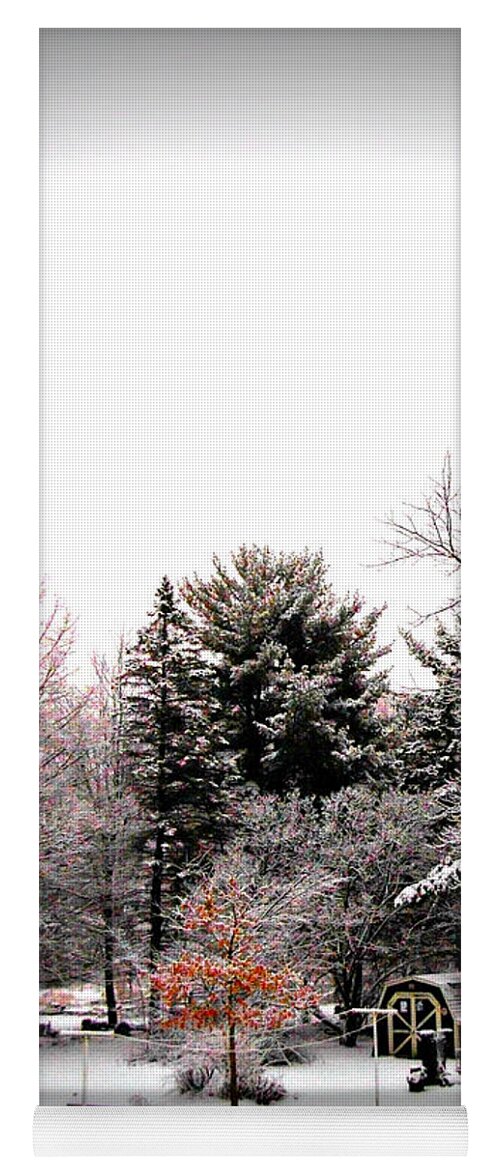 Weather Yoga Mat featuring the photograph Red in the Wooded Winter by Frank J Casella