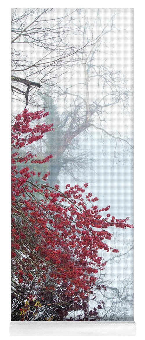 Acer Rubrum Yoga Mat featuring the photograph Red Maple Reflections On A Misty Morning by Kristia Adams