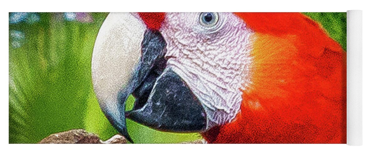 Animal Kingdom Yoga Mat featuring the photograph Red Parrot by Nick Zelinsky Jr