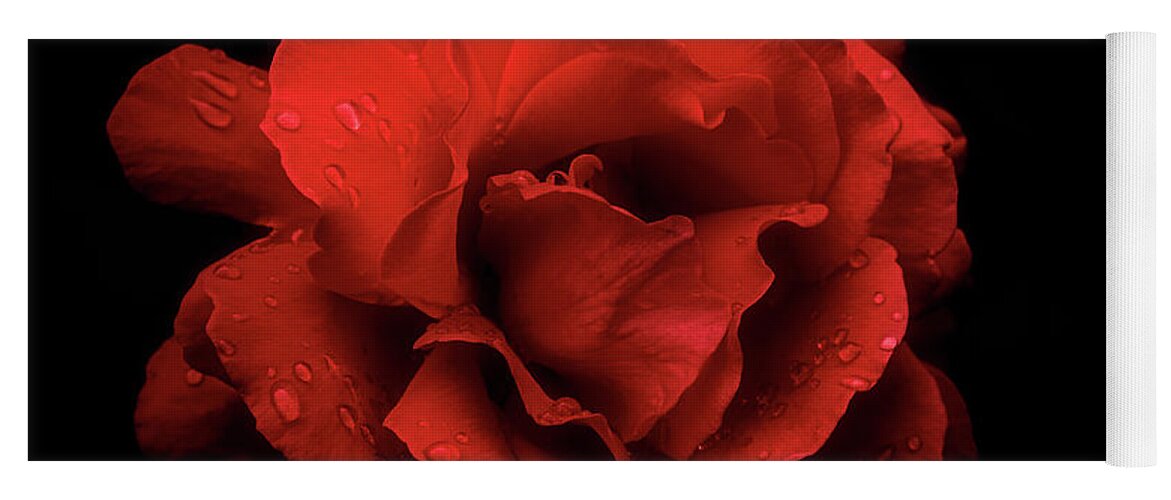 Rose Yoga Mat featuring the photograph Red Rose by Philippe Sainte-Laudy