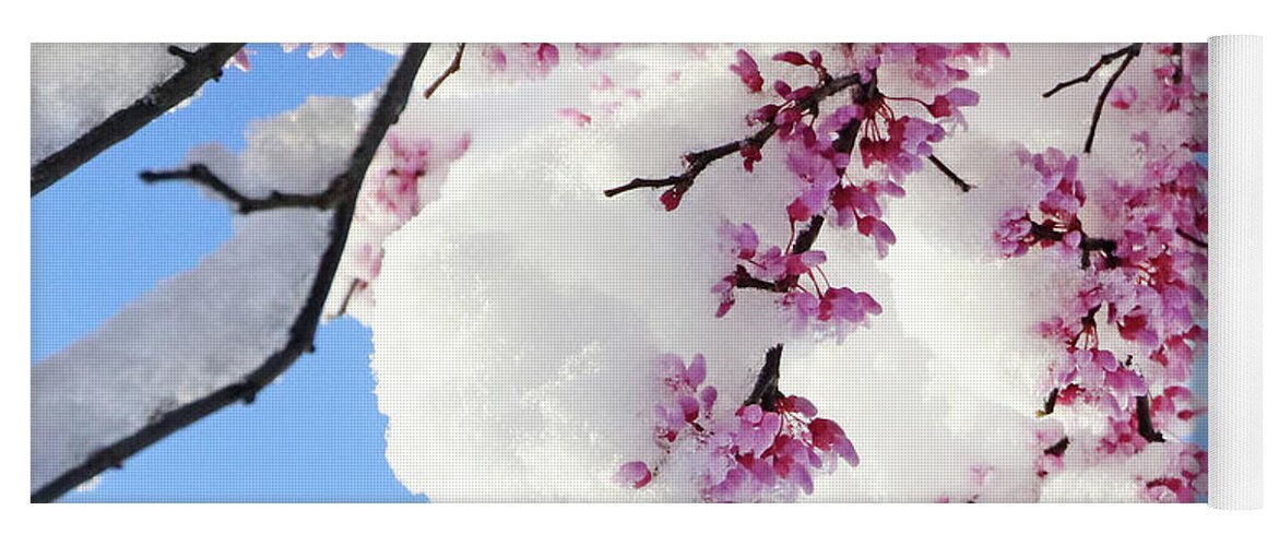 Redbud Yoga Mat featuring the photograph Redbud Blossoms and April Snow 5010 by Jack Schultz
