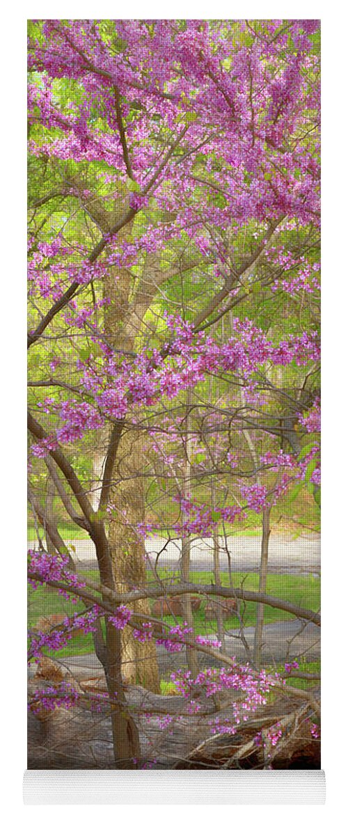 Oklahoma Redbud Yoga Mat featuring the photograph Redbuds In Bloom by Lana Trussell